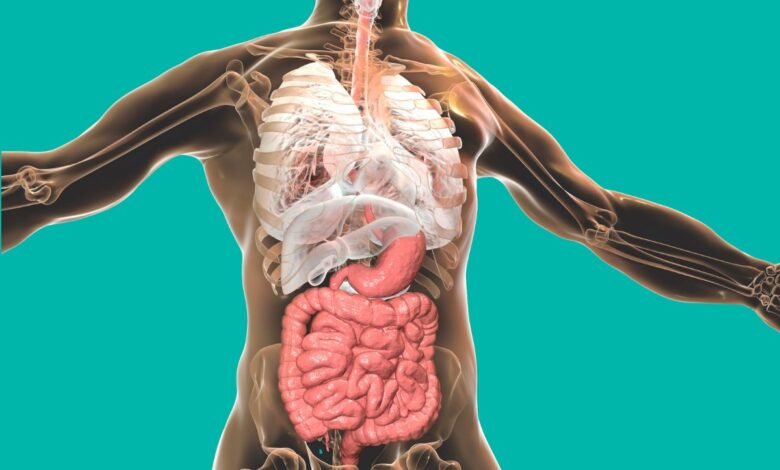 Câncer colorretal cresce entre jovens: alerta e prevenção precoce